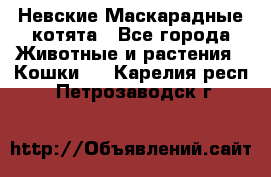 Невские Маскарадные котята - Все города Животные и растения » Кошки   . Карелия респ.,Петрозаводск г.